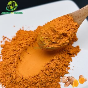 Turmeric Root Extract - Manufacturer 95% Curcumin Natural Supplement