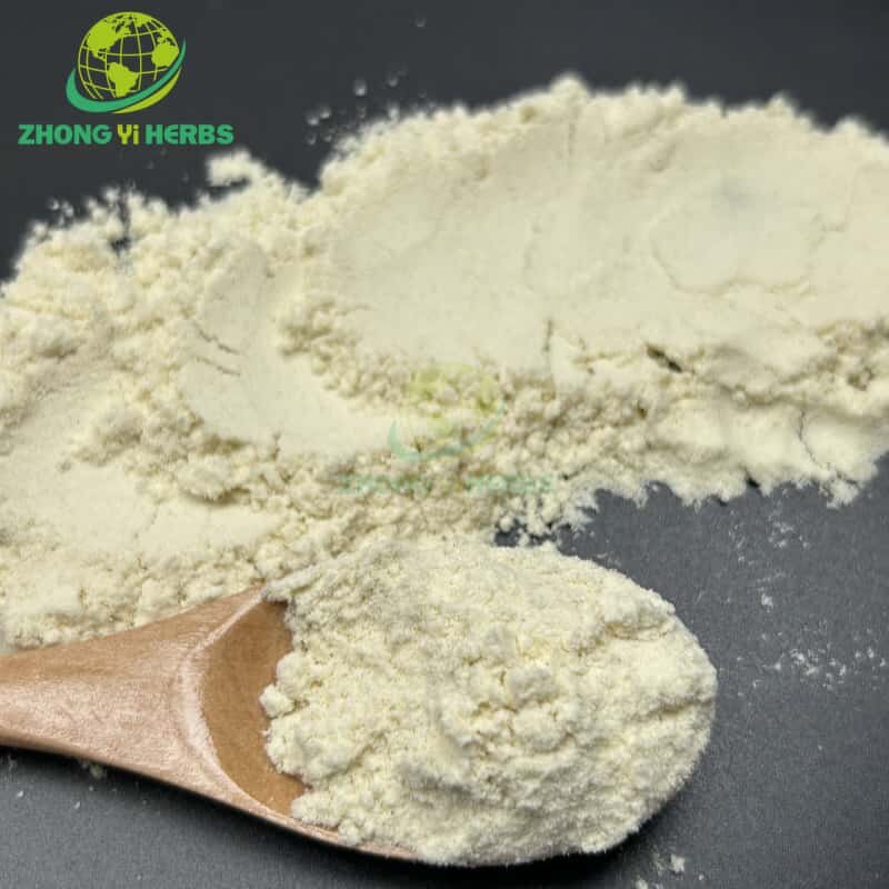 Durian Powder - Manufacturer Thailand Golden Pillow Pure Natural Powder