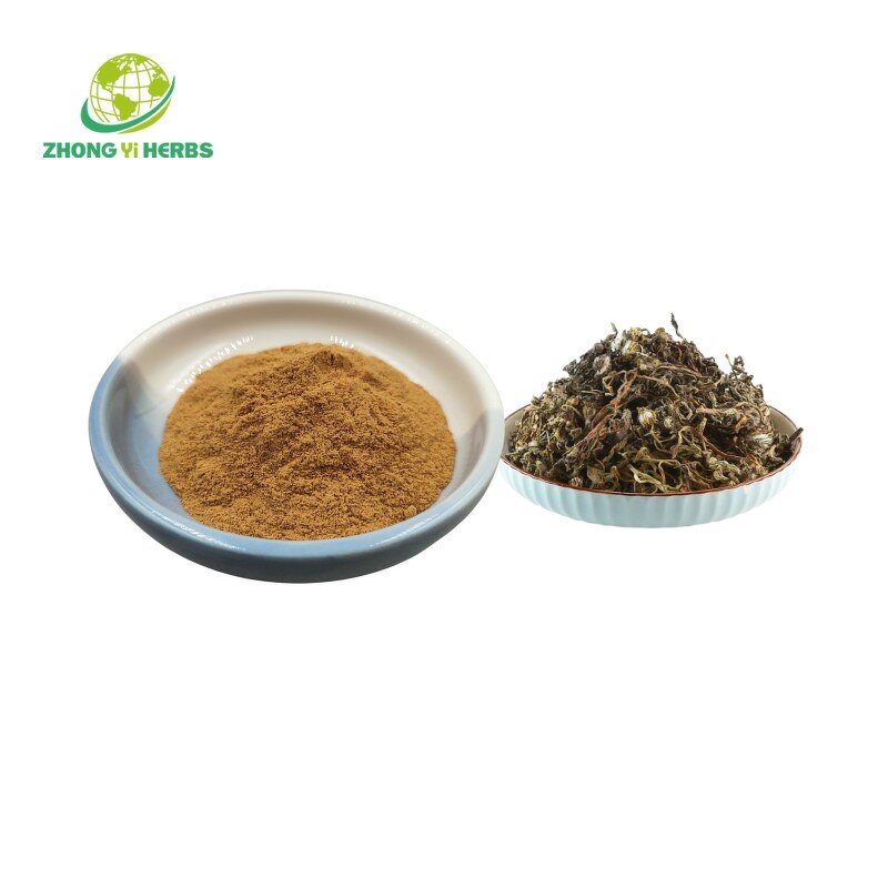 Thyme Leaf Extract - Manufacturer Hot Selling Organic Thymol Powder