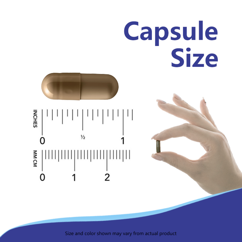 Urolithin-a Powder - Manufacturer 99% CAS 1143-70-0 Health Supplement