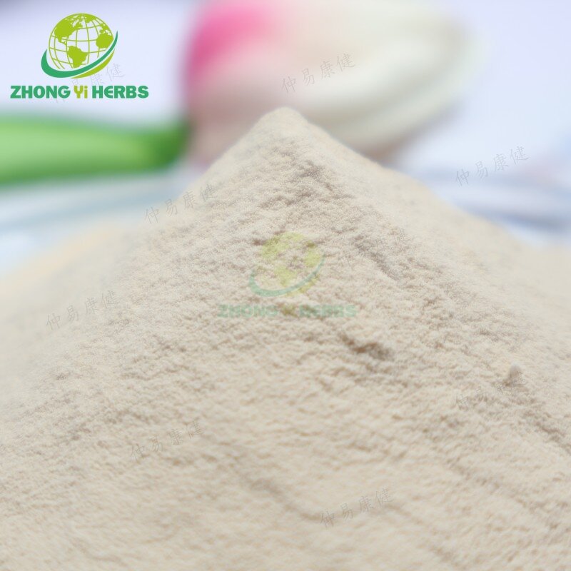 Pea Protein Powder - Manufacturer Wholesale Organic Pea Protein Isolate