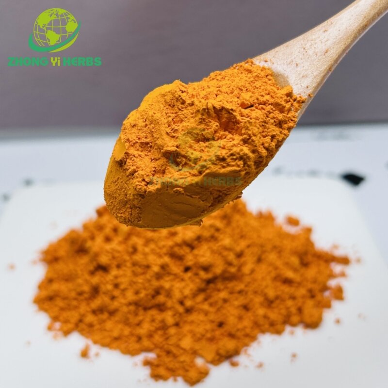 Turmeric Root Extract - Manufacturer 95% Curcumin Natural Supplement