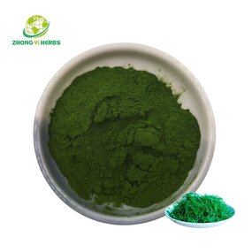 Spirulina Powder - Manufacturer Wholesale Food Grade Green Herbal Extract