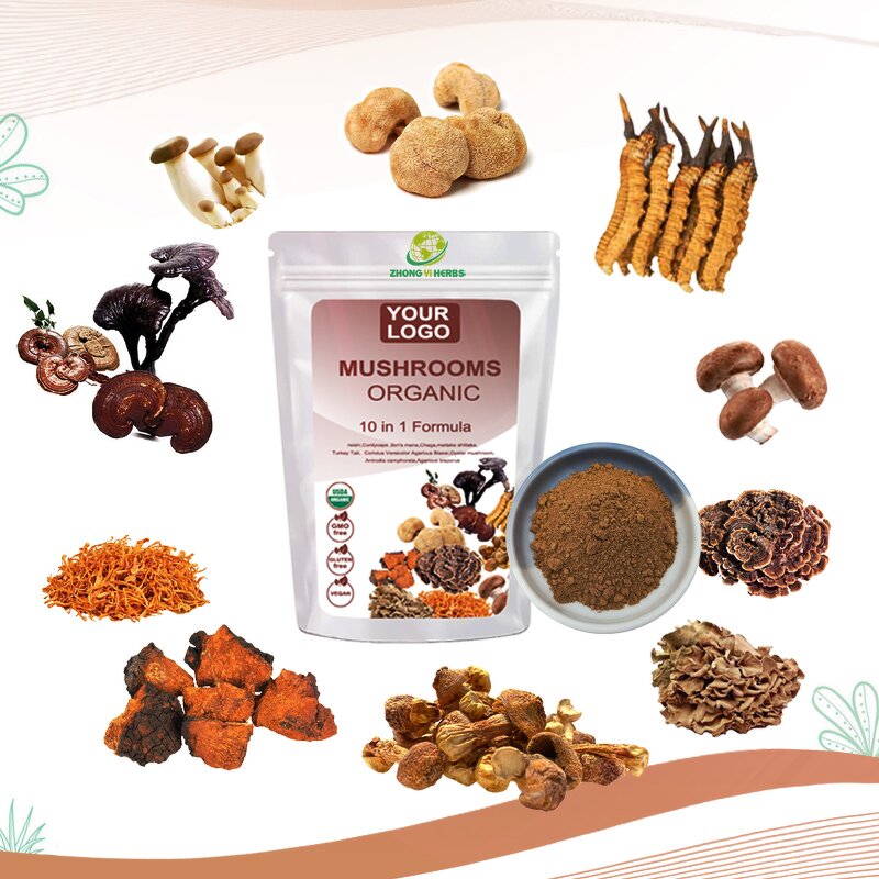 Mushroom Extract Powder - Manufacturer Organic Mushroom Supplements Powder