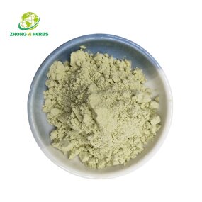 Celery Extract Powder - Manufacturer Wholesale Best Price Organic Juice Powder