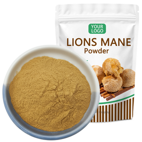 Lions Mane Powder - Manufacturer Organic Hericium Erinaceus Polysaccharide