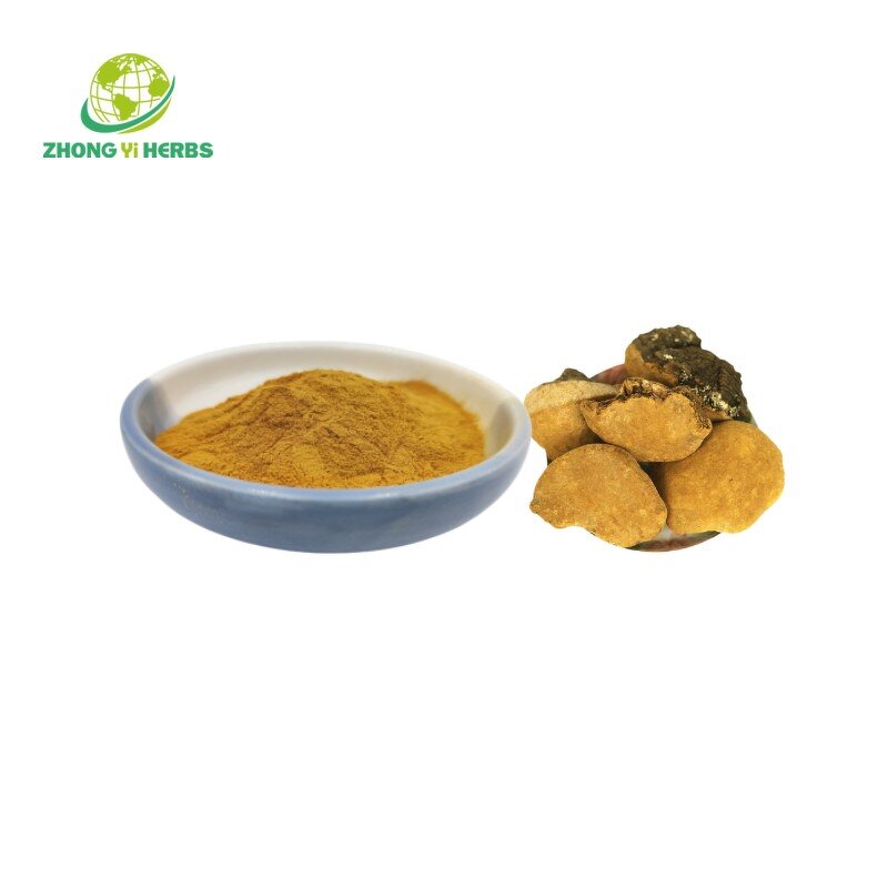 Phellinus Linteus Powder - Manufacturer Polysaccharides Mushroom Extract