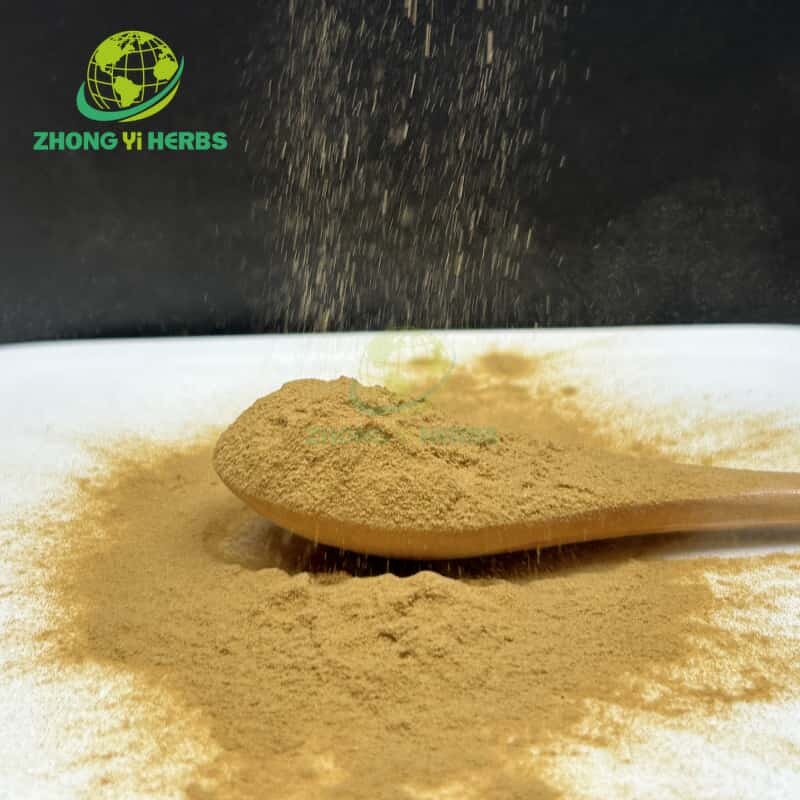 Assam Black Tea - Manufacturer 100% Pure Instant Spray Dried Powder