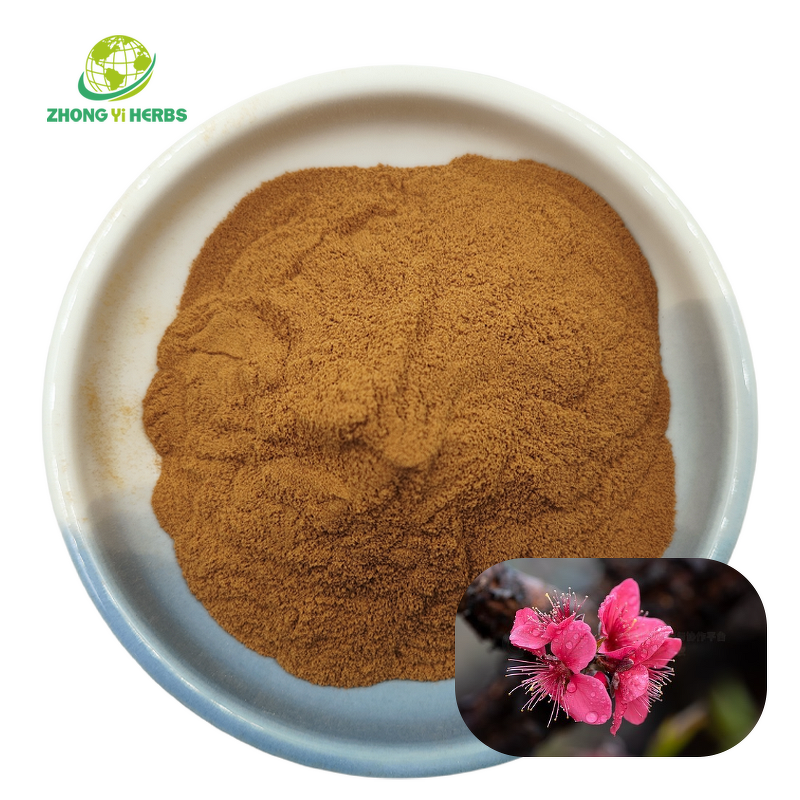 Garcinia Cambogia Extract - Manufacturer 60% 50% HCA Weight Loss Powder