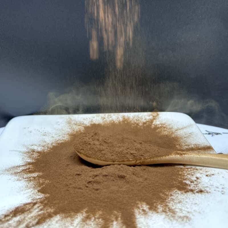 Reishi Mushroom Powder - Manufacturer Pure Organic Ganoderma Lucidum Extract