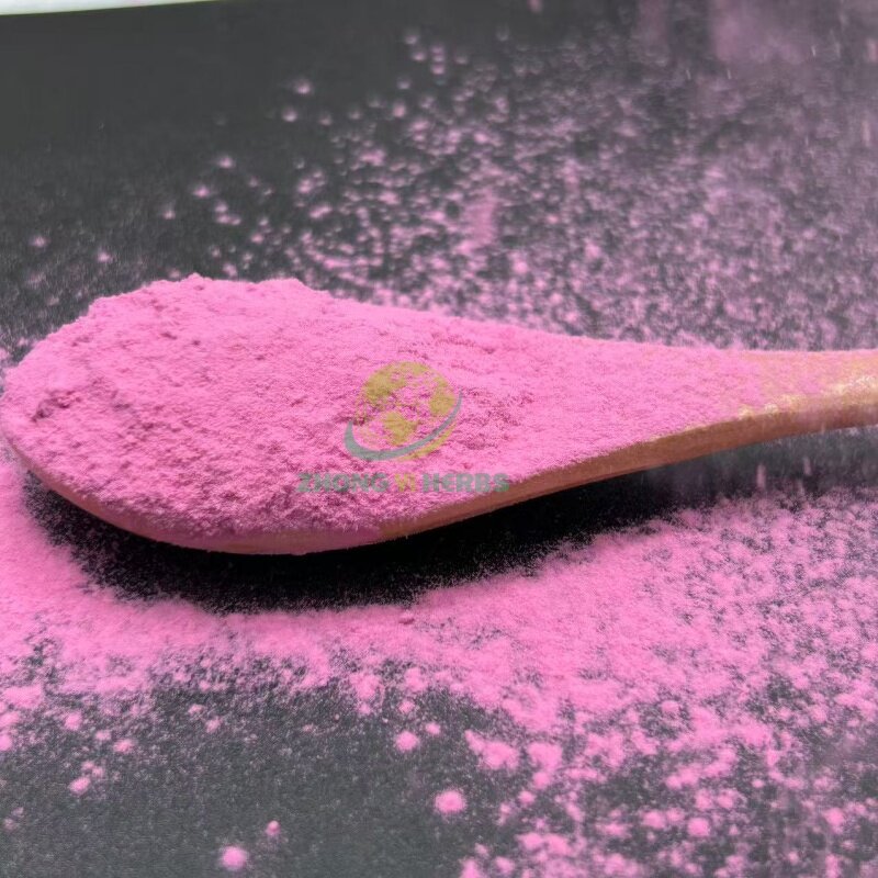 Black Carrot Powder - Manufacturer Pure High Quality Juice Concentrate