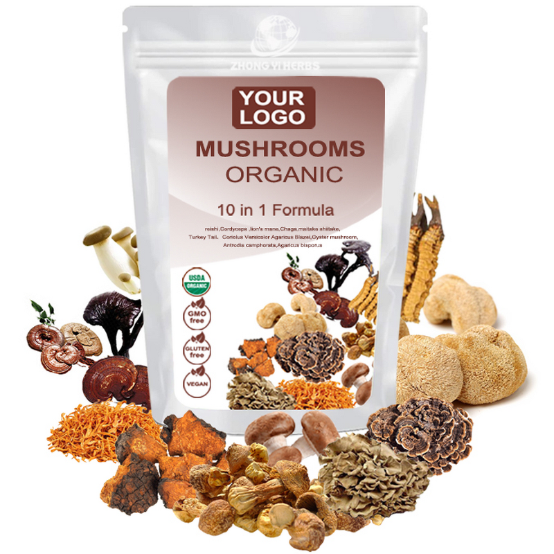Mushroom Blend Powder - Manufacturer Private Label Maitake Turkey Tail Cordyceps