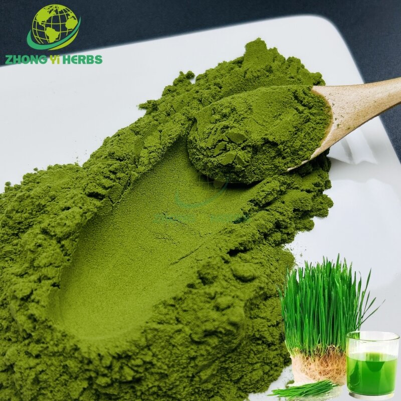 Wheat Grass Juice - Manufacturer Natural Food Grade Organic Barley Powder