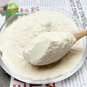 Ginseng Extract Powder - Manufacturer 80% Ginsenosides Pure Natural Extract
