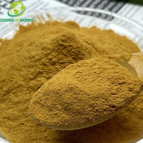Black Tea Extract - Manufacturer Supply Good Quality Instant Powder