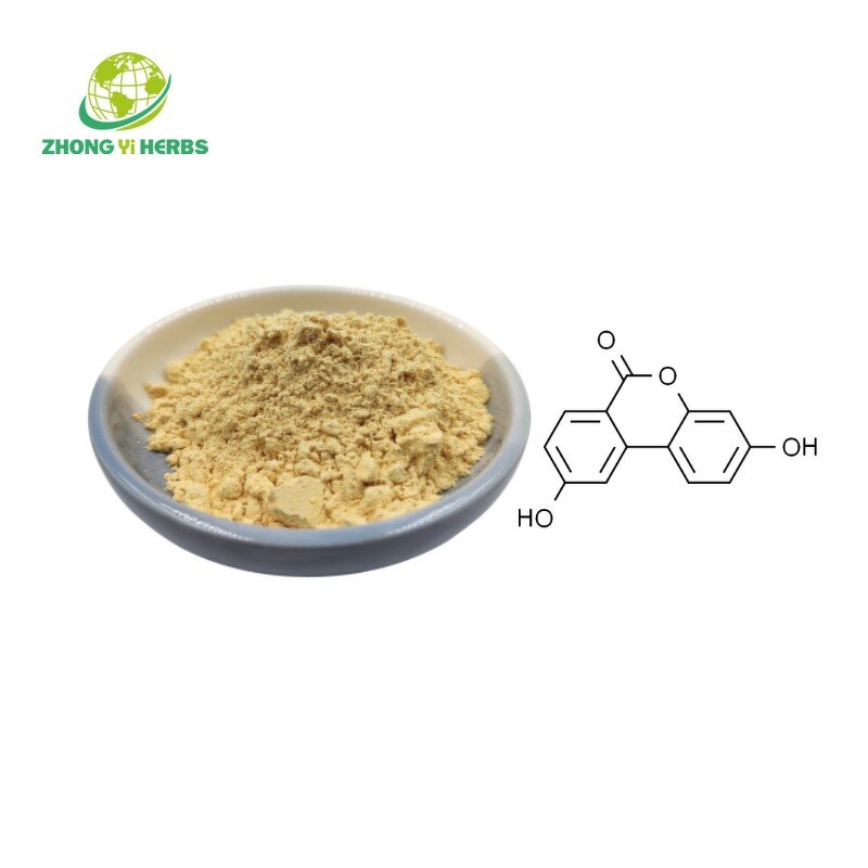 GABA Powder - Manufacturer CAS 56-12-2 Gamma-Aminobutyric Acid Bulk