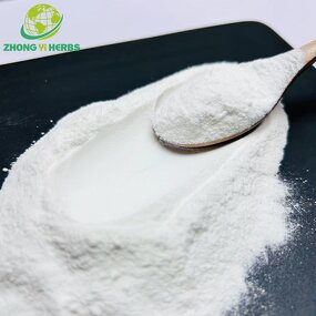 Wheat Dextrin Powder - Manufacturer Wholesale Food Grade Additives
