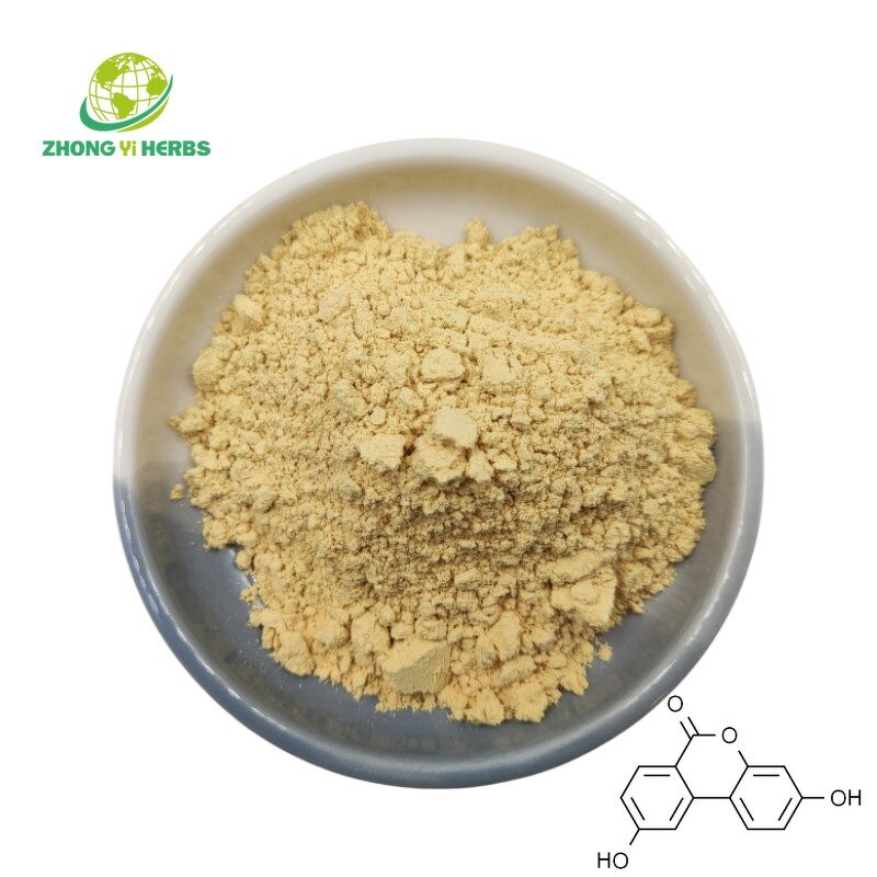 GABA Powder - Manufacturer CAS 56-12-2 Gamma-Aminobutyric Acid Bulk