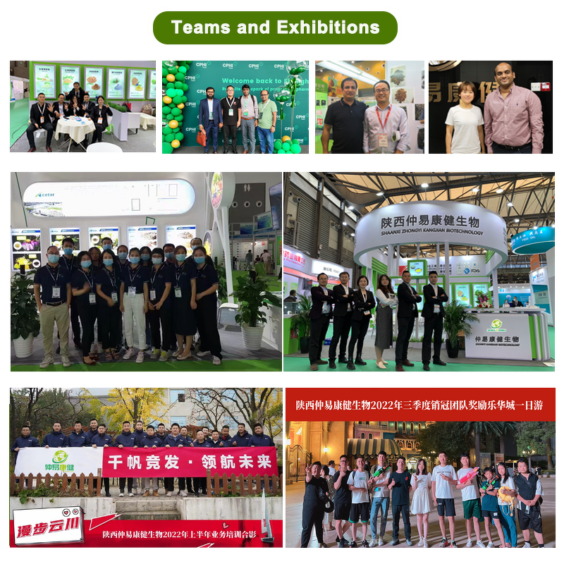 Green Tea Powder - Manufacturer Bulk Natural Longjing Instant Powder