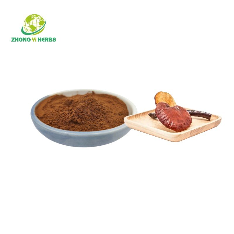 Reishi Mushroom Extract - Manufacturer 2% 5% 8% Triterpenes Ganoderma