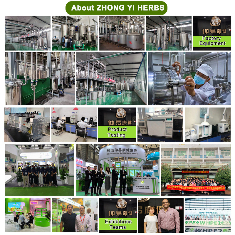 L-cysteine Powder - Manufacturer Wholesale Food Grade Pure L Cysteine