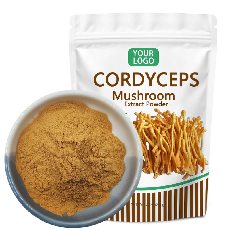 Cordyceps Militaris Powder - Manufacturer Private Label 0.3%-8% Cordycepin