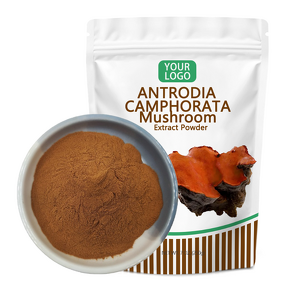 Antrodia Camphorata Extract - Manufacturer Organic Polysaccharide Mushroom
