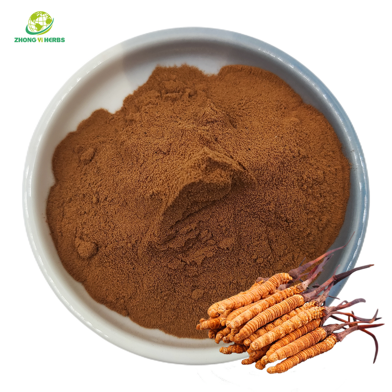 Cordyceps Sinensis Powder - Manufacturer Private Label CS4 Extract Powder