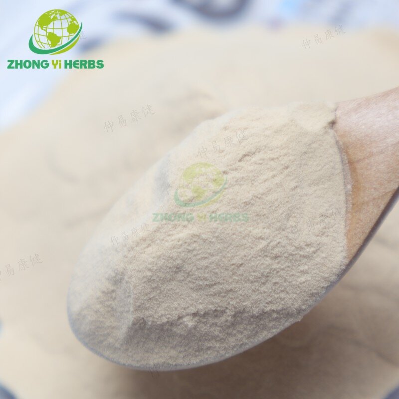Pea Protein Powder - Manufacturer Wholesale Organic Pea Protein Isolate