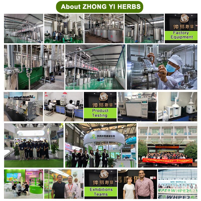 MAP Powder - Manufacturer Cosmetic Grade CAS 9004-61-9 Magnesium Ascorbyl