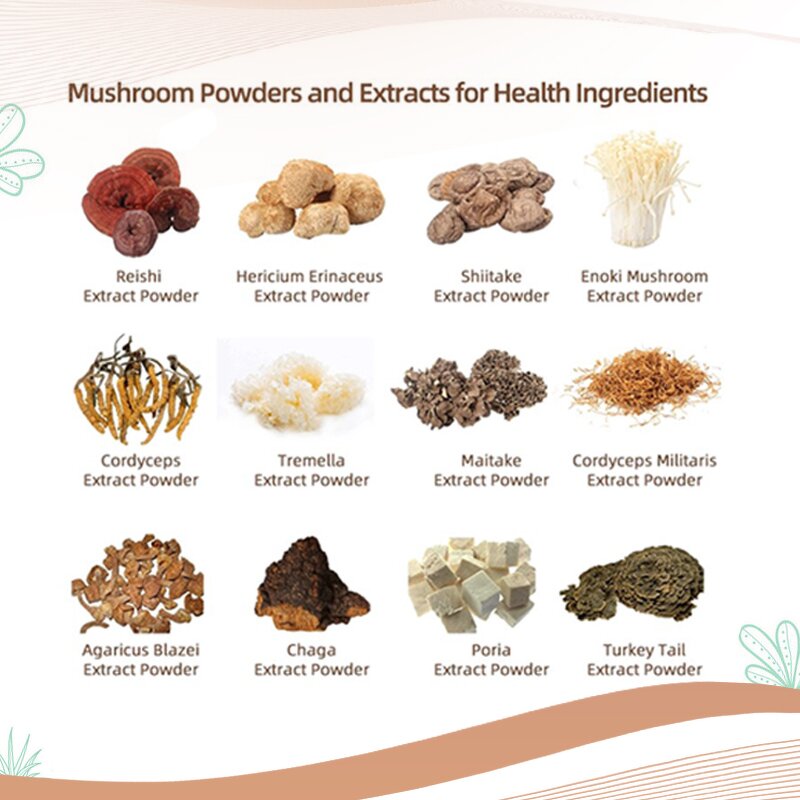 Mushroom Extract Powder - Manufacturer Private Label Organic OEM Blend Powder