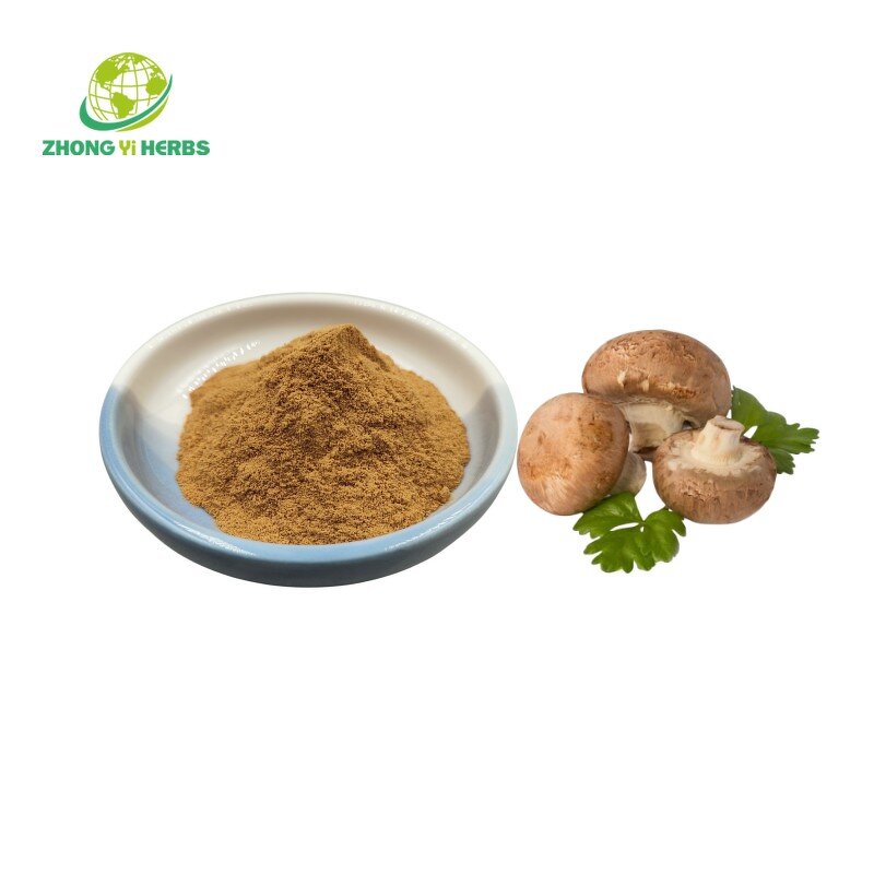 Shiitake Mushroom Extract - Manufacturer 30% Polysaccharides Natural Plant