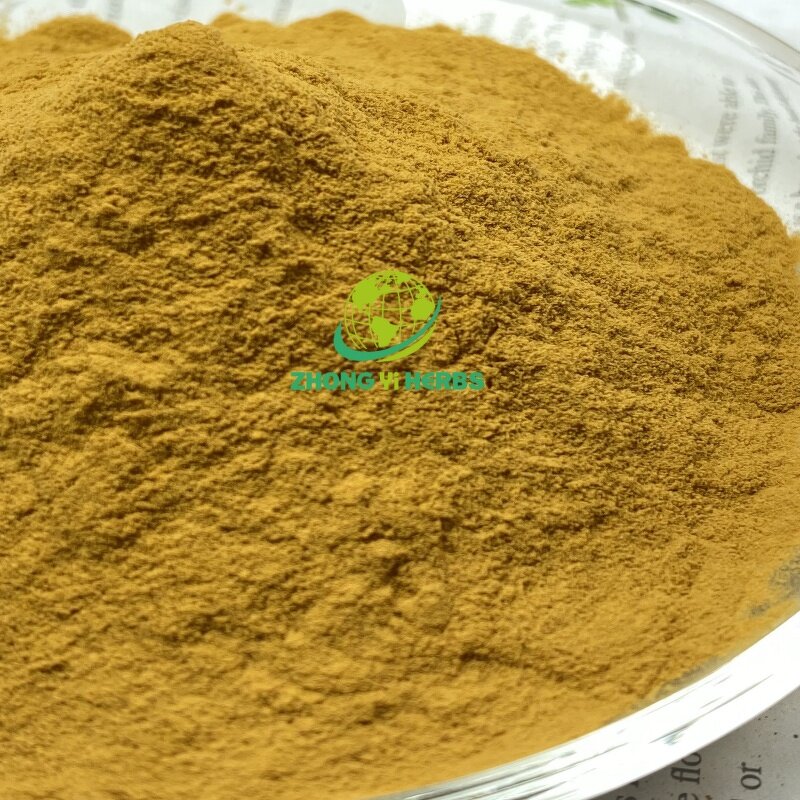 Black Tea Extract - Manufacturer Supply Good Quality Instant Powder