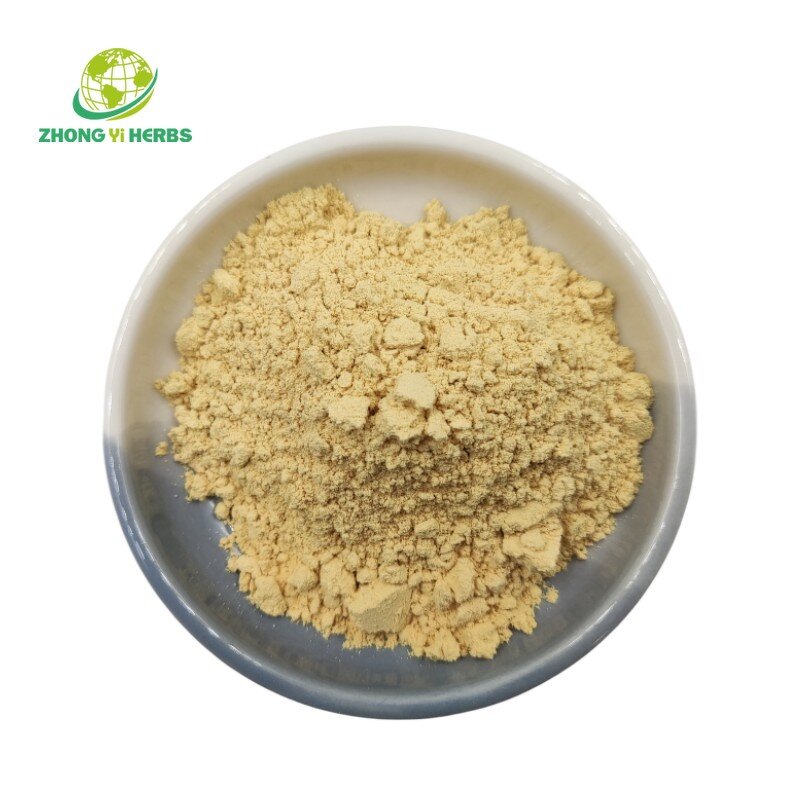 GABA Powder - Manufacturer CAS 56-12-2 Gamma-Aminobutyric Acid Bulk