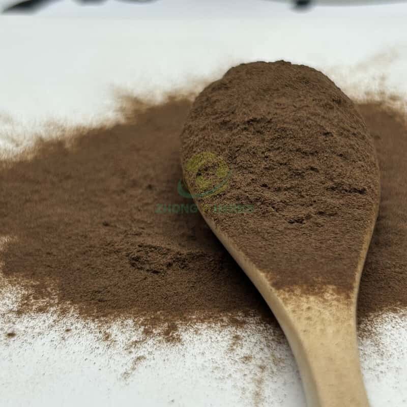 Cordyceps CS4 Powder - Manufacturer Cordyceps Sinensis Extract Powder