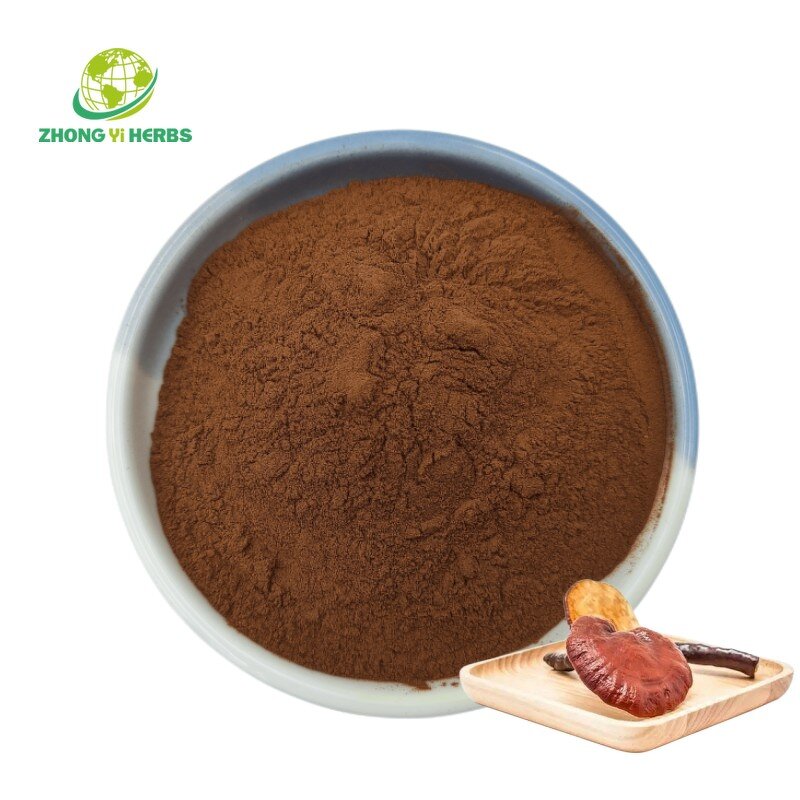 Reishi Mushroom Powder - Manufacturer Organic Ganoderma Lucidum Pure Extract