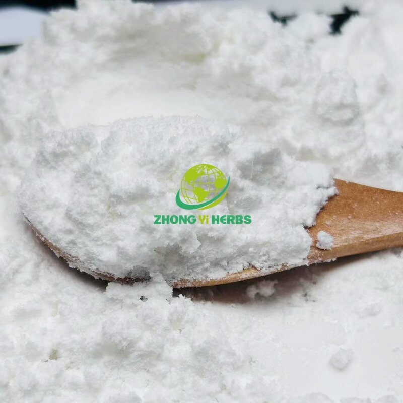 Chitin Powder - Manufacturer Wholesale CAS 9012-76-4 Chitosan Powder