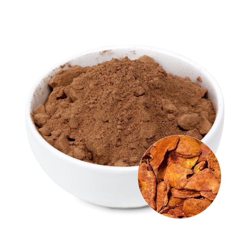 Antrodia Camphorata Extract Manufacturer - Organic Natural Provides Energy Mushroom