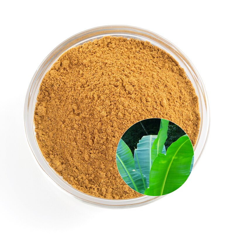 Corosolic Acid Powder Manufacturer - High Quality from Plantain & Banana Leaf Extracts