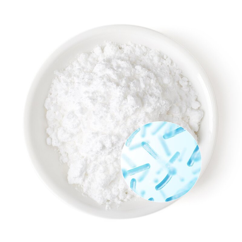 Lactobacillus Acidophilus Powder Manufacturer - Pure Natural Promotes Digestion Probiotic Gold Standard