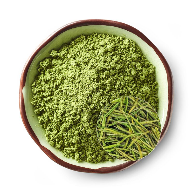 Matcha Green Tea Powder Manufacturer - High Quality Antioxidant Energy-Boosting for Adults
