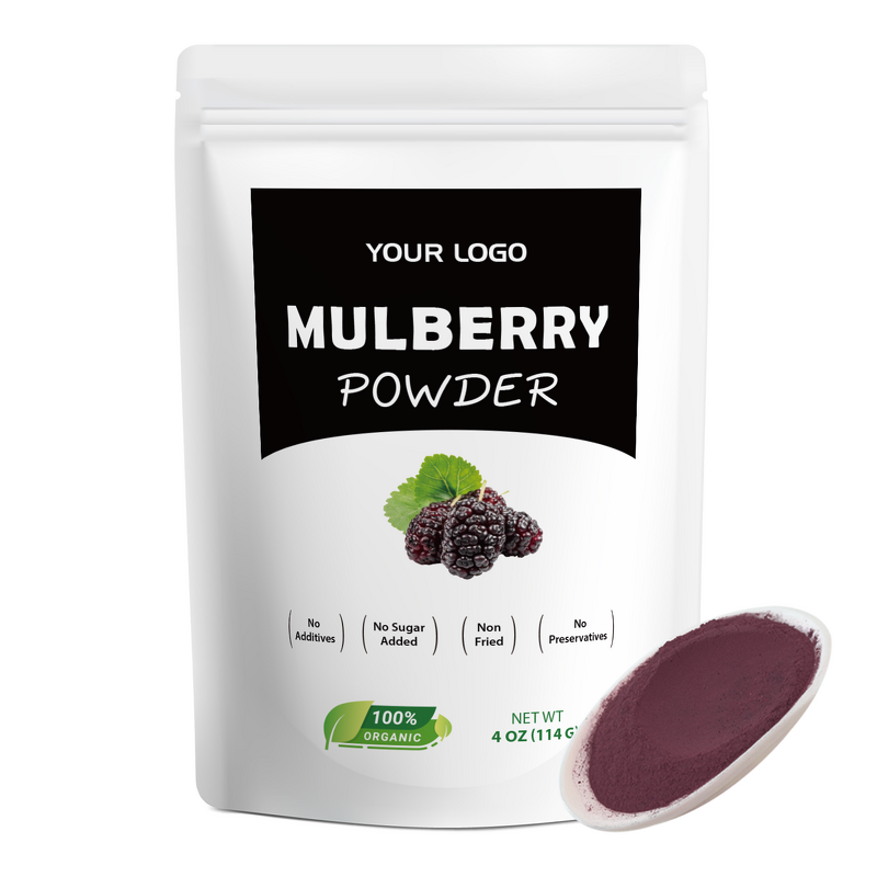 Mulberry Fruit Powder Manufacturer - Organic Iron-Rich Superfood for Beauty Antioxidant