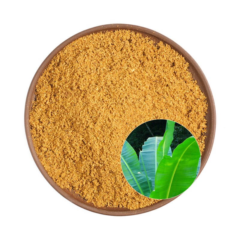 Banana Extract Manufacturer - Durlevel Supply Corosolic Acid from Plantain & Loquat Leaf
