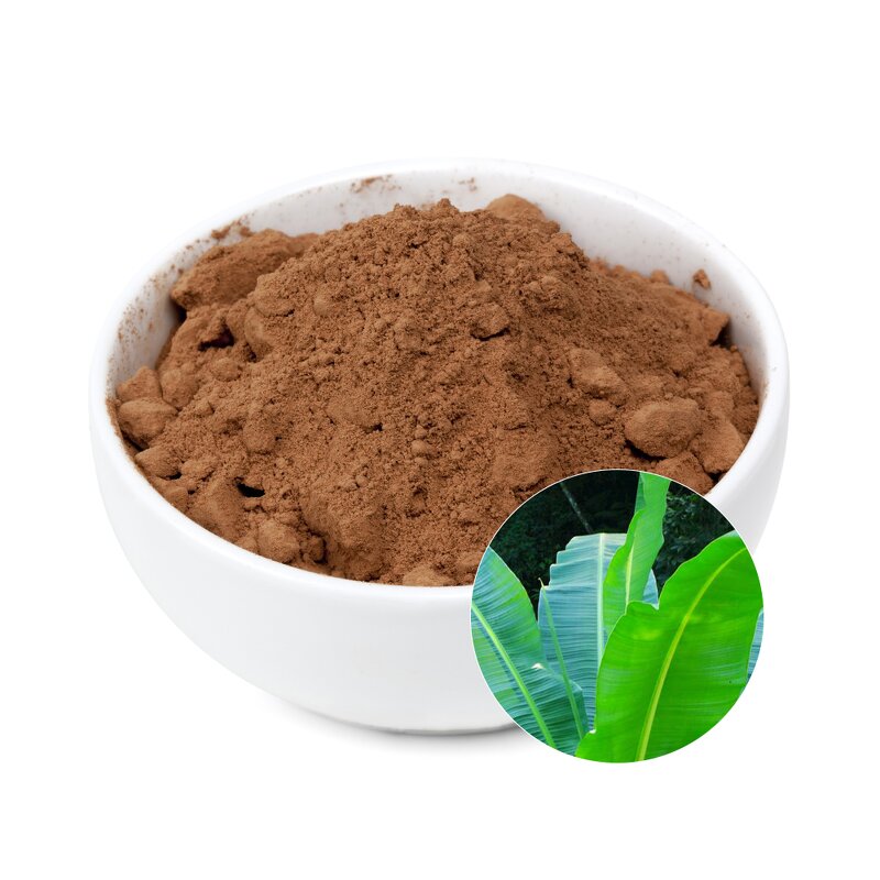Corosolic Acid Powder Manufacturer - High Quality from Plantain & Banana Leaf Extracts