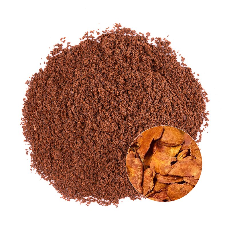 Antrodia Camphorata Extract Manufacturer - Organic Natural Provides Energy Mushroom