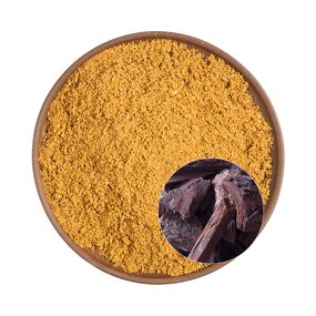 Pygeum Africanum Extract Powder Manufacturer - High Purity 2.5% for Male Fertility
