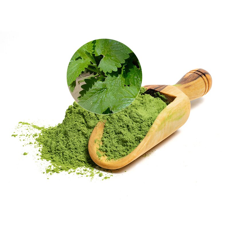 Catnip Powder Manufacturer - Sustainably Sourced 1kg Bulk Wild-Cultivated for Pets