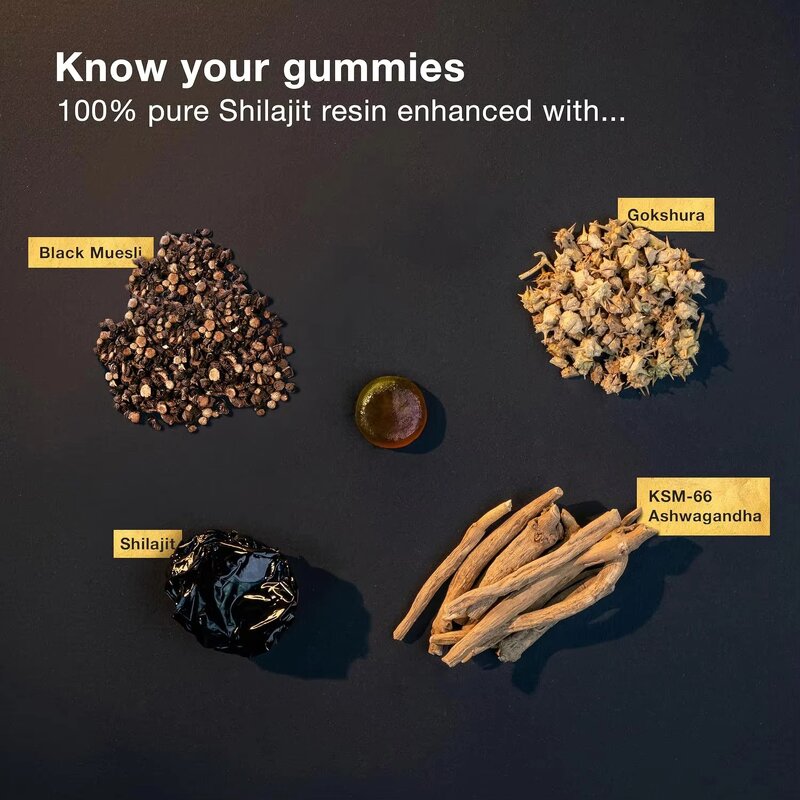 Shilajit Gummies Manufacturer - Vegan Fulvic Acid Enriched Daily Wellness Aid