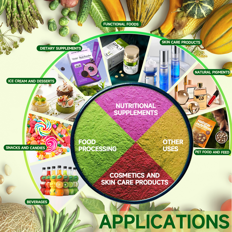 Papaya Powder Manufacturer - Freeze-Dried Rich in Vitamins A & C