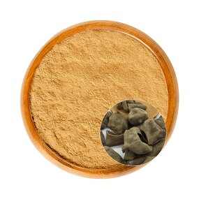 Tannic Acid Powder Manufacturer - Organic Natural Antioxidant Gallnut Extract